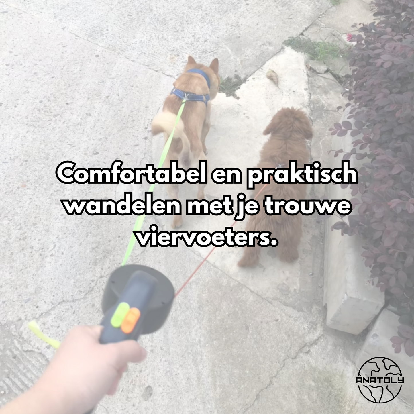 Dubbele Hondenlijn met LED-verlichting en Poepzakjeshouder.